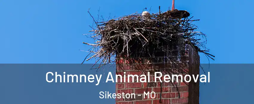  Chimney Animal Removal Sikeston - MO