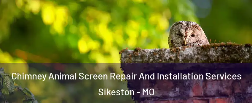  Chimney Animal Screen Repair And Installation Services Sikeston - MO