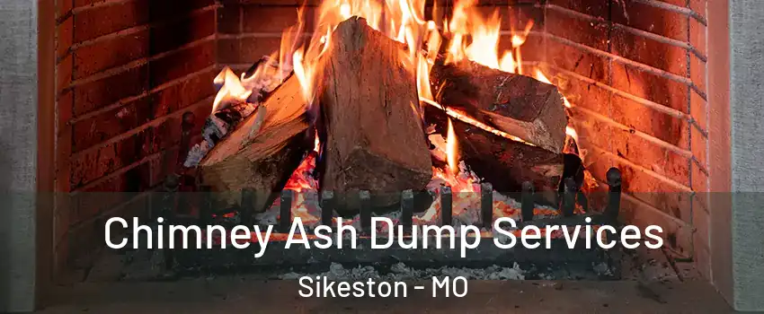  Chimney Ash Dump Services Sikeston - MO