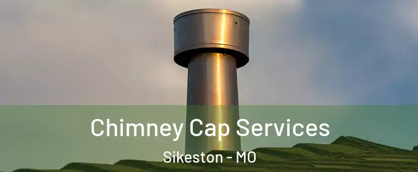 Chimney Cap Services Sikeston - MO