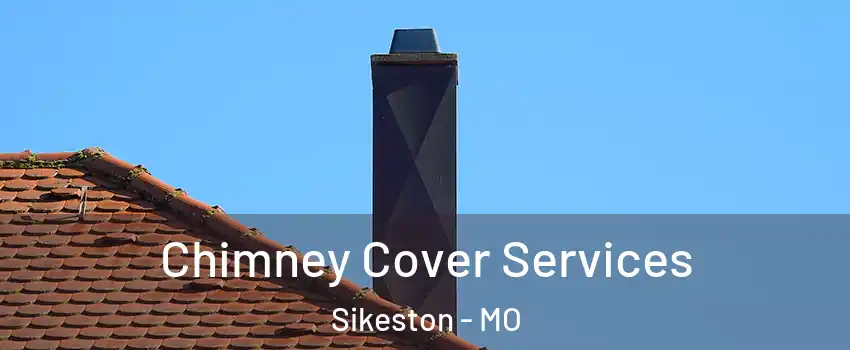  Chimney Cover Services Sikeston - MO