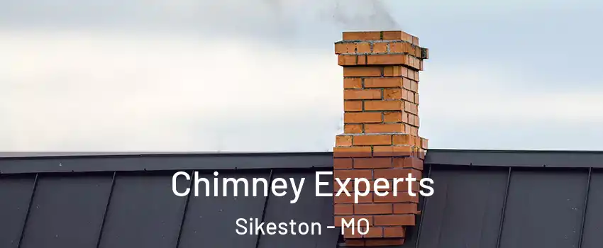  Chimney Experts Sikeston - MO