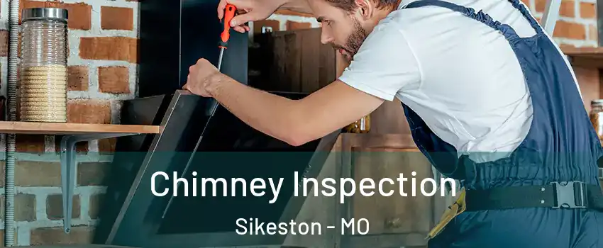  Chimney Inspection Sikeston - MO