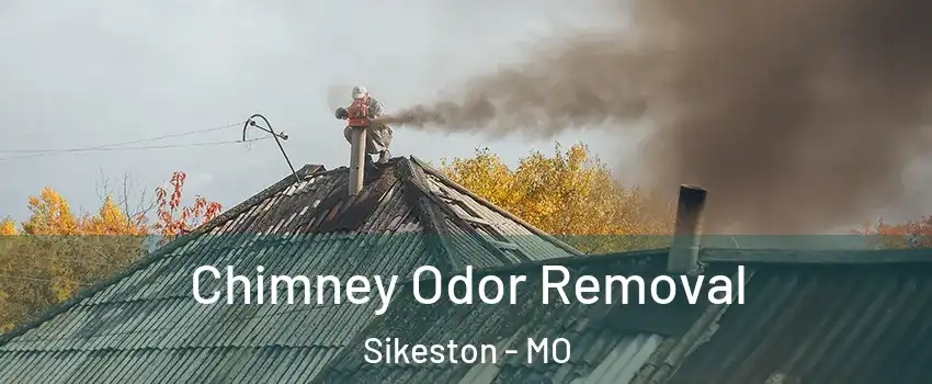  Chimney Odor Removal Sikeston - MO