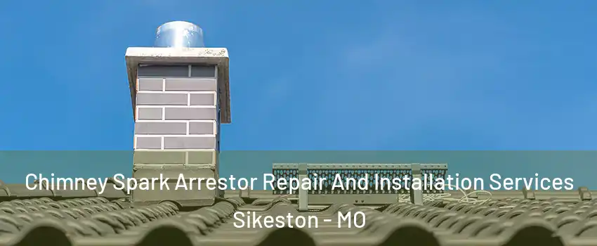  Chimney Spark Arrestor Repair And Installation Services Sikeston - MO
