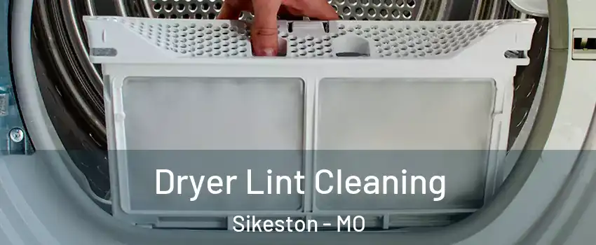  Dryer Lint Cleaning Sikeston - MO