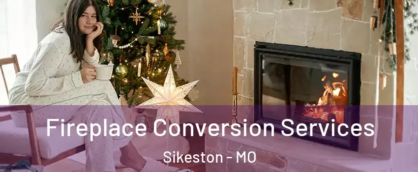  Fireplace Conversion Services Sikeston - MO