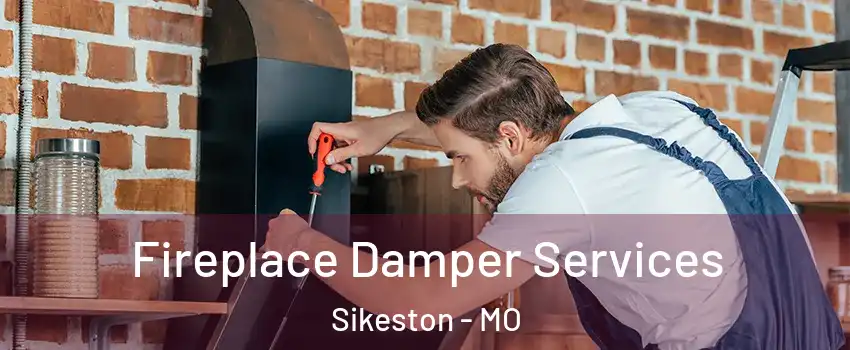  Fireplace Damper Services Sikeston - MO