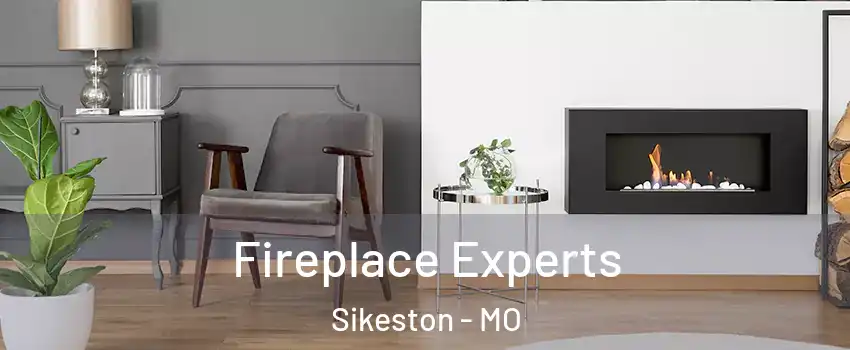  Fireplace Experts Sikeston - MO