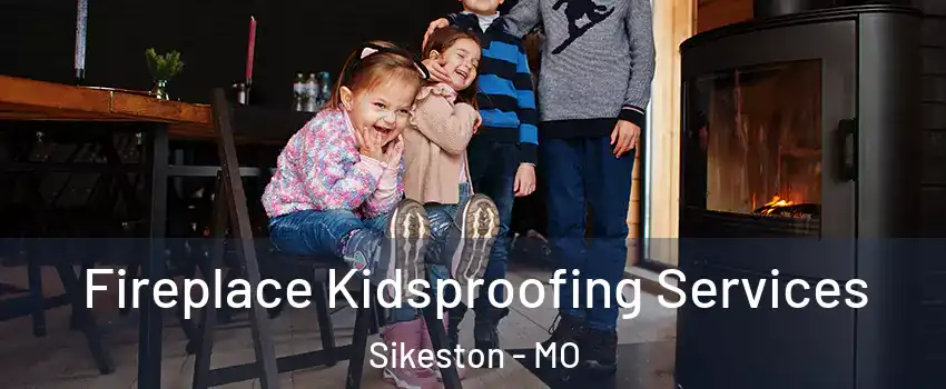 Fireplace Kidsproofing Services Sikeston - MO