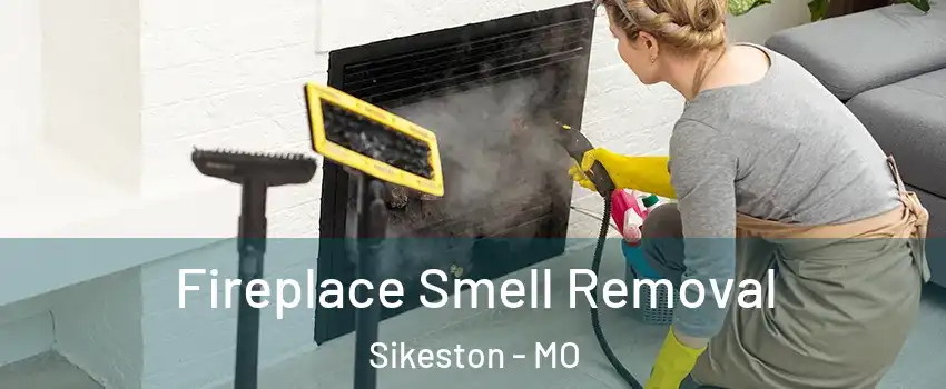 Fireplace Smell Removal Sikeston - MO