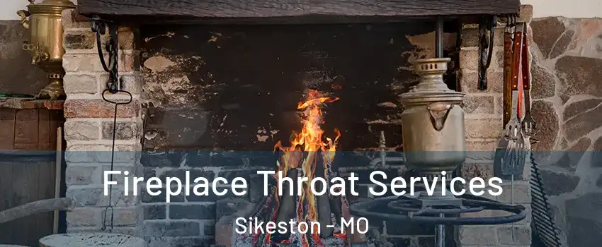  Fireplace Throat Services Sikeston - MO