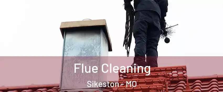  Flue Cleaning Sikeston - MO