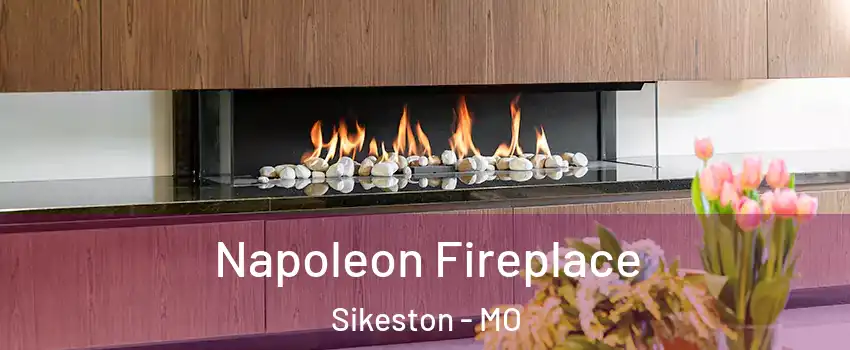  Napoleon Fireplace Sikeston - MO