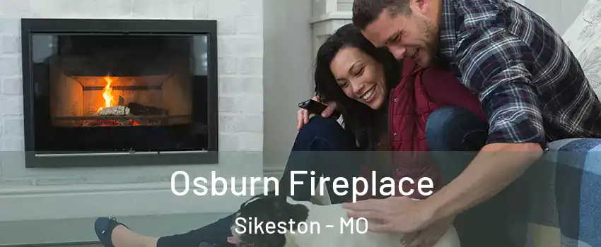 Osburn Fireplace Sikeston - MO