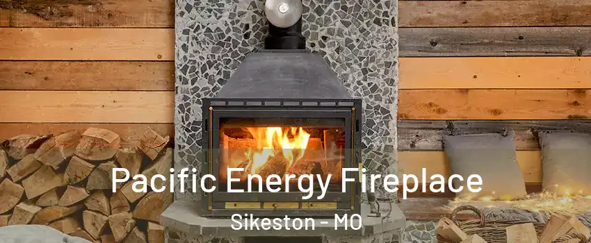  Pacific Energy Fireplace Sikeston - MO